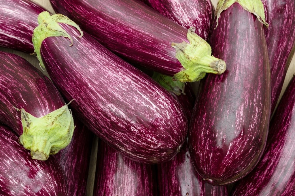 Saludable.Rica en nutrientes y antioxidantes, la berenjena es un vegetal que no solo es versátil en la cocina, sin que también es un alimento que merece la atención de quienes buscan mejorar su bienestar.