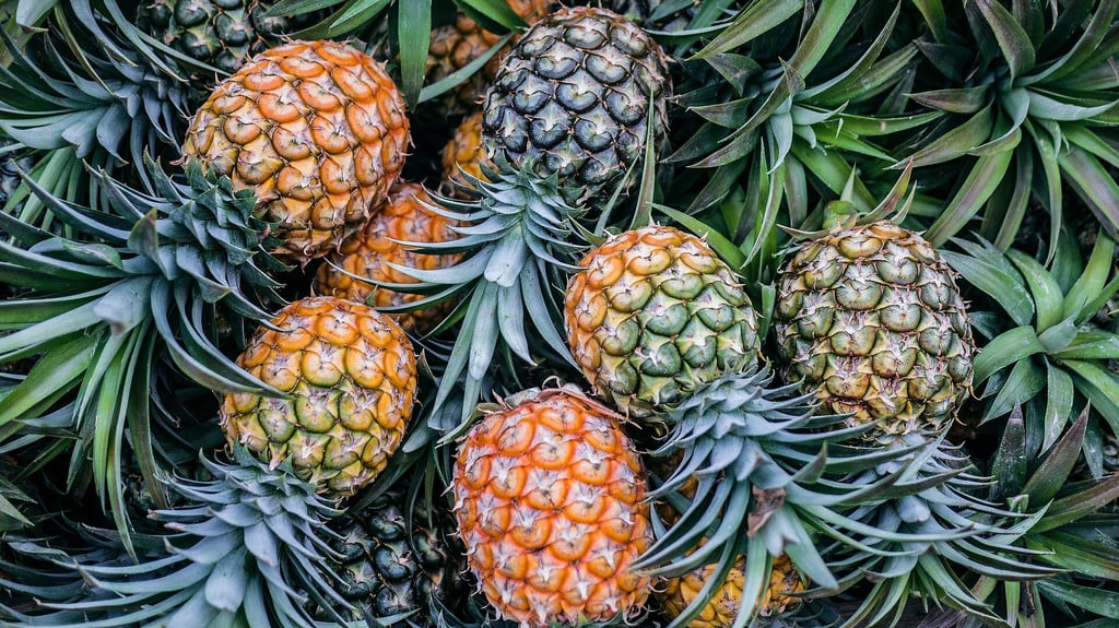 Las propiedades desintoxicantes de la piña para limpiar los riñones