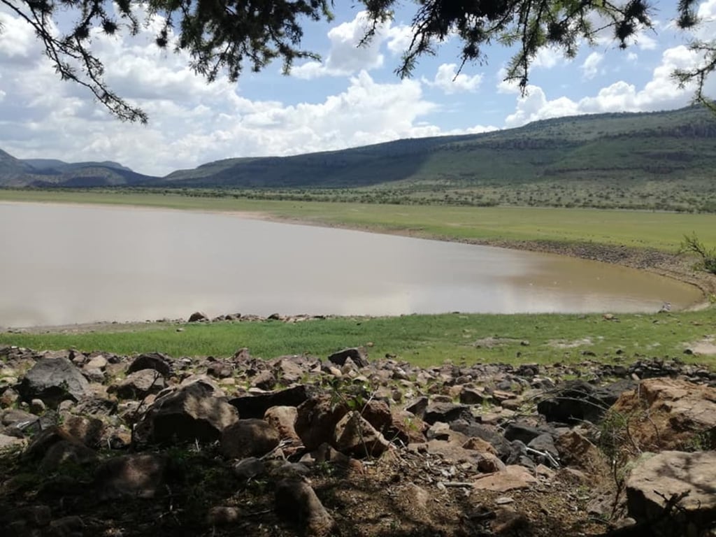 Reporte. La presa Santa Elena, del municipio de Súchil, se encuentra al 13.7 por ciento de su capacidad.