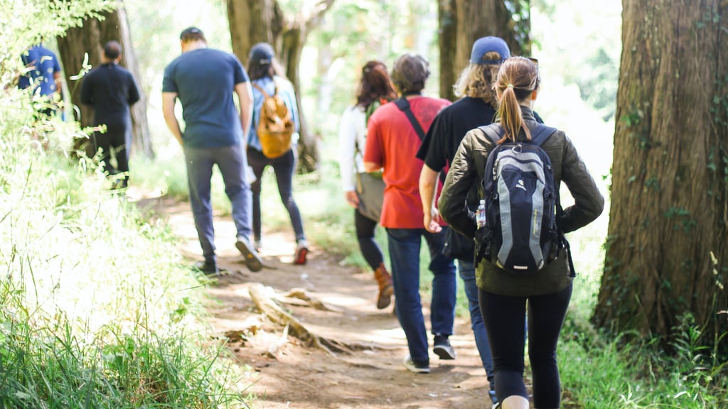 ¿Cuánto tiempo es recomendable caminar por semana? Esto dice la OMS