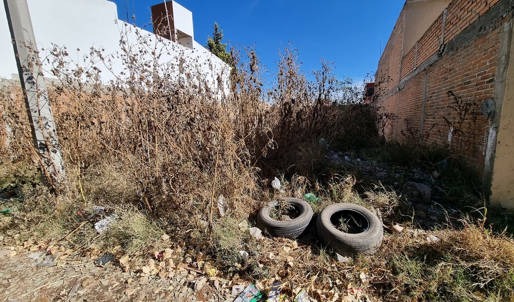 Dueños de predios baldíos tendrían 90 días para limpiar terrenos