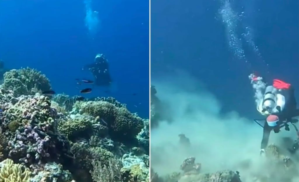 VIDEO: Así sorprendió un terremoto a un grupo de buzos en el fondo del mar