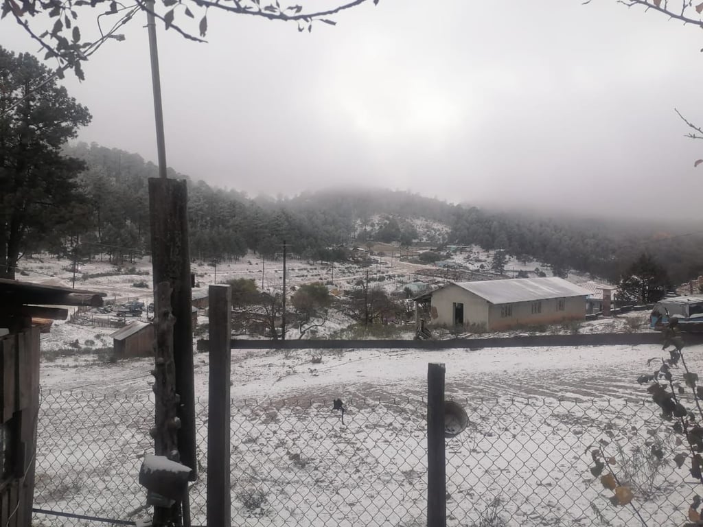 Caen las primeras nevadas en dos municipios de Durango