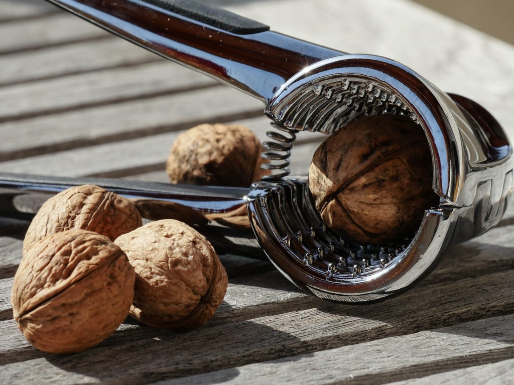 ¿Quiénes no deben comer nueces?