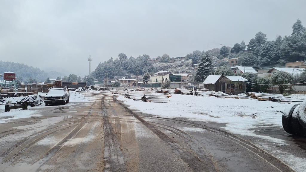 Suman 13 los municipios de Durango con registro de nevadas