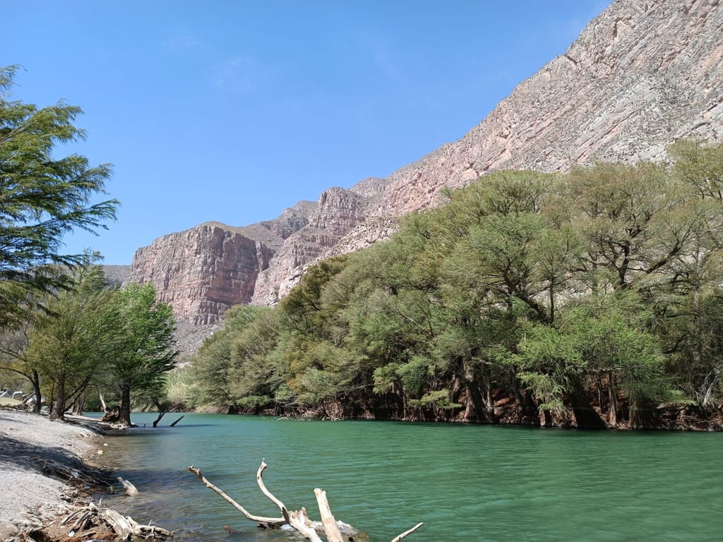 Celebran proceso para la nueva Área Natural Protegida en La Laguna