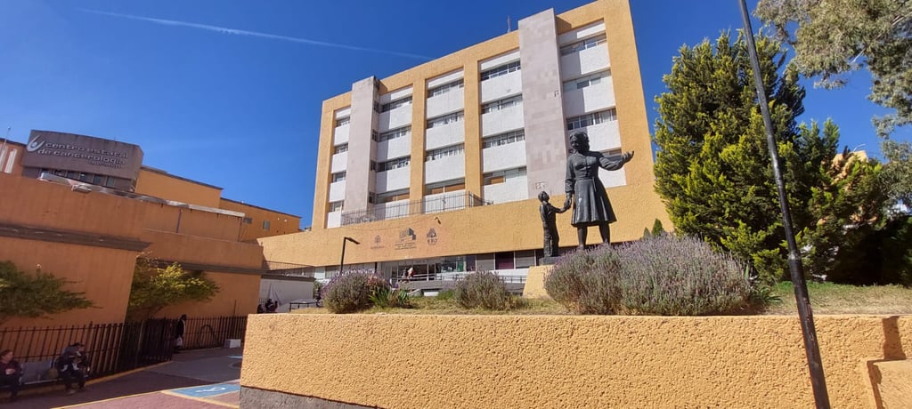 Casos. De acuerdo con los datos de la Secretaría de Salud, son 12 niños que están siendo atendidos por neumonía en el Hospital Materno Infantil.