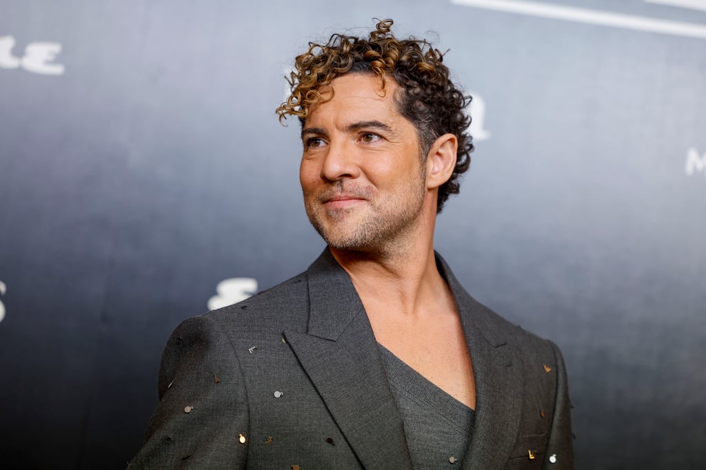 Hermano de David Bisbal queda en silla de ruedas tras desaparición en España