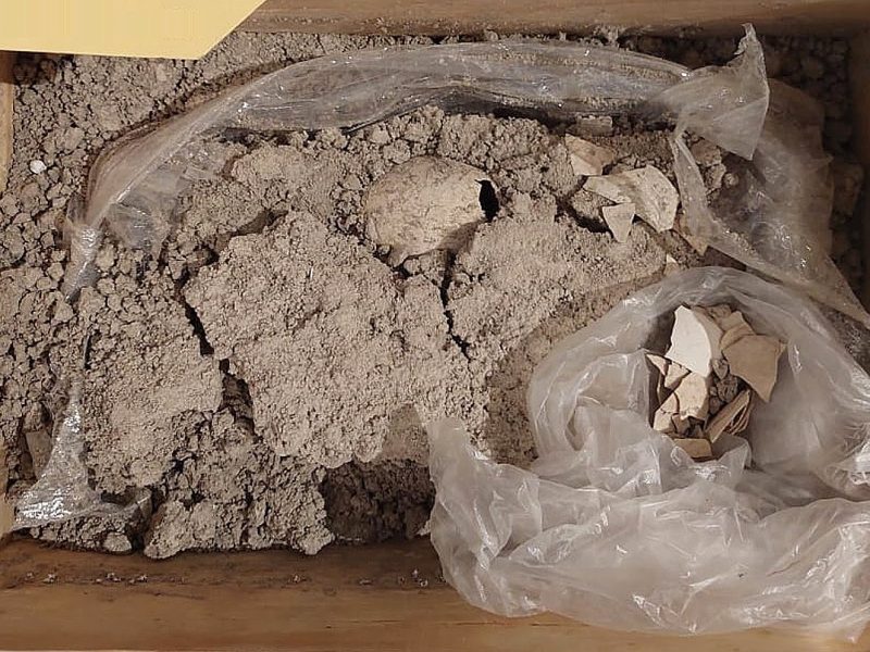 El descubrimiento paleontológico consiste en especímenes de bivalvos marinos conocidos como Rudistas. (X)