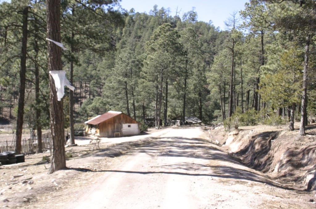 La Rosilla amaneció este domingo a 15° bajo cero