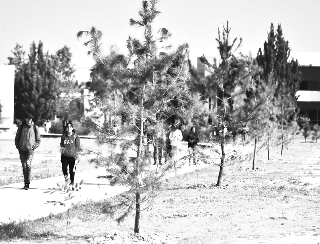 Participación. Se hizo un trabajo directo con las escuelas para que los estudiantes se comprometieran al cuidado de los árboles.