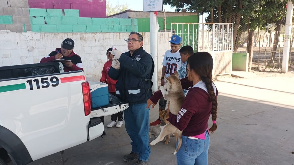 Jornada.  El personal del Ayuntamiento logró atender a poco más de 70 animales.