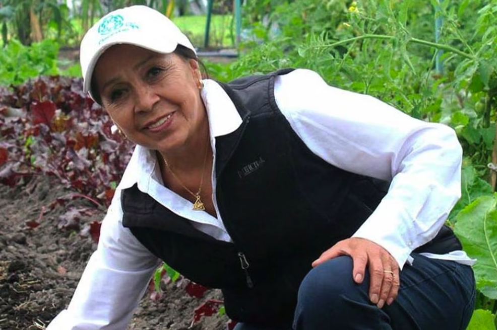 Se anunció a los ganadores del Premio Nacional de Ciencias 2020 y 2021.