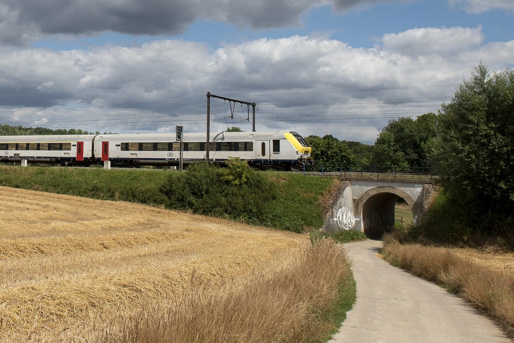 Mayoría de las deportaciones tuvieron lugar en los llamados trenes especiales. (TWITTER)