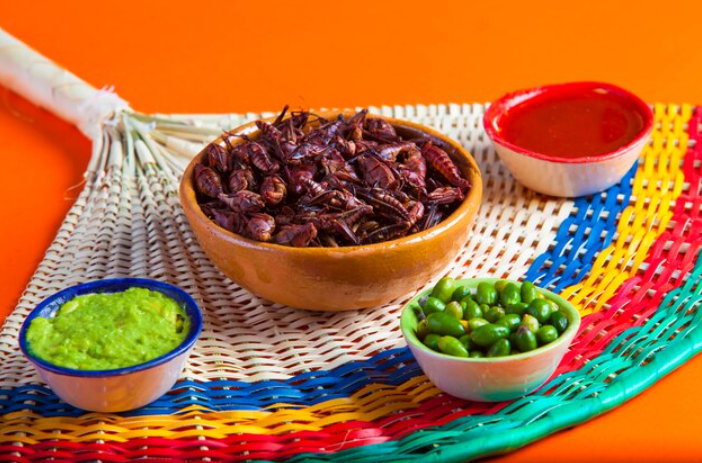 Qué nutrientes aporta comer chapulines