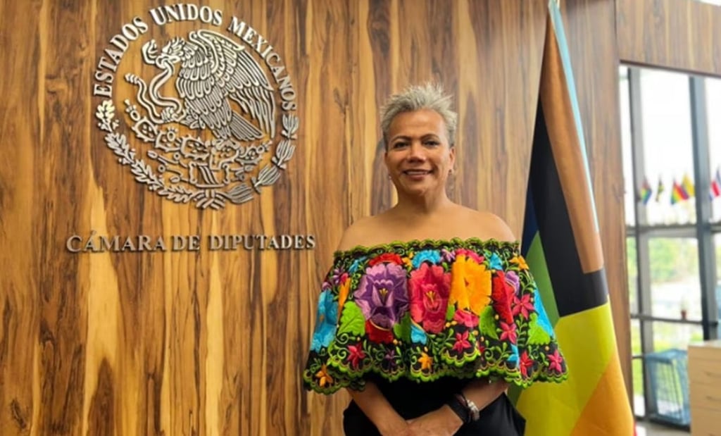 VIDEO: Diputada Salma Luévano alza la voz y manda mensaje contundente a AMLO