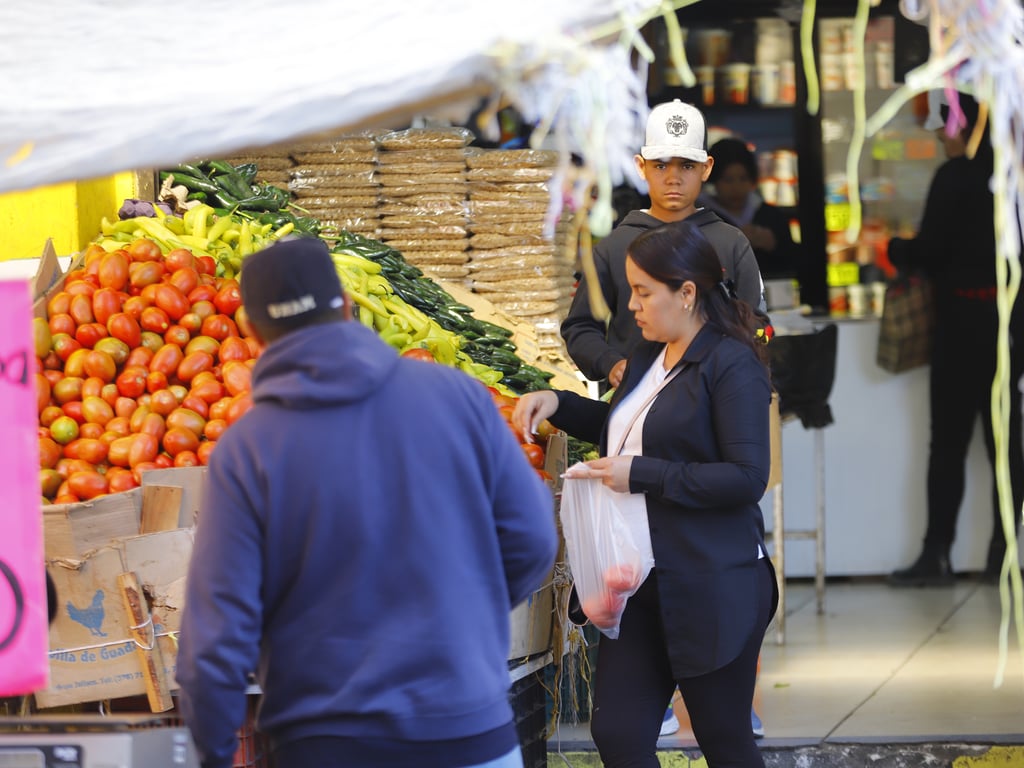 Se espera que el tipo de cambio termine 2024 en 18.50 pesos al dólar. (ARCHIVO)