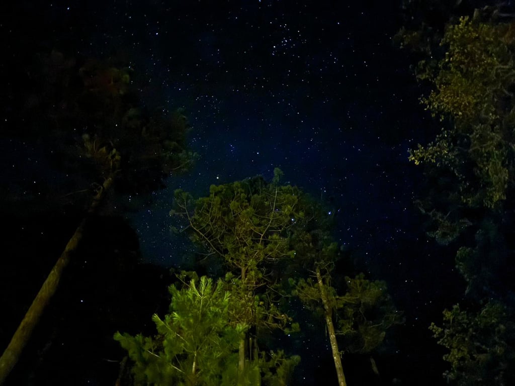 Cabañas se beneficiarán con el eclipse en Durango