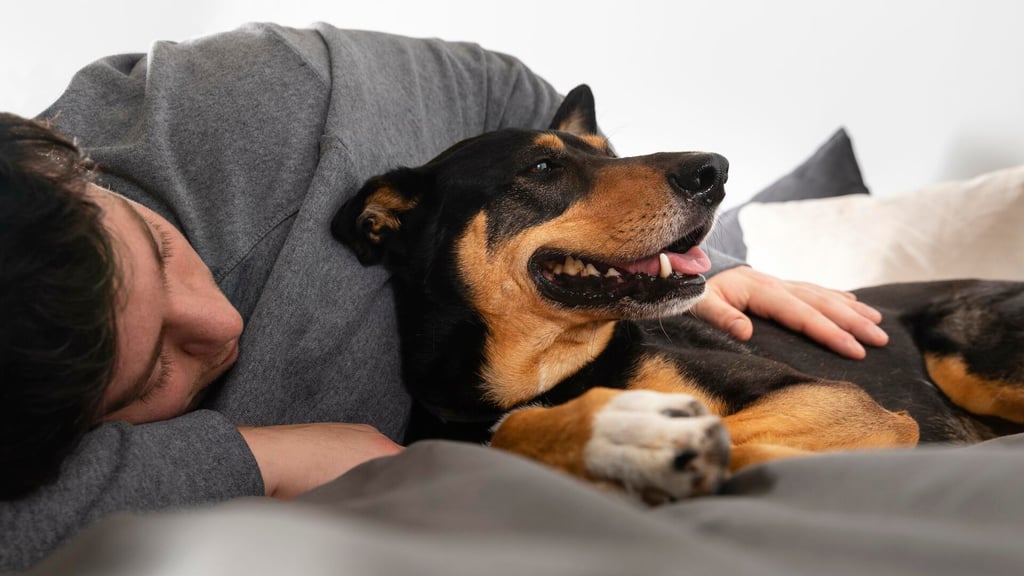 Las ventajas de dormir con perros, según un estudio médico