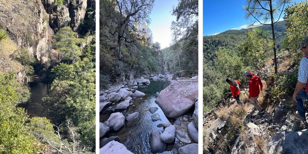 Abrirán zona 'virgen' de la Sierra de Durango para turistas