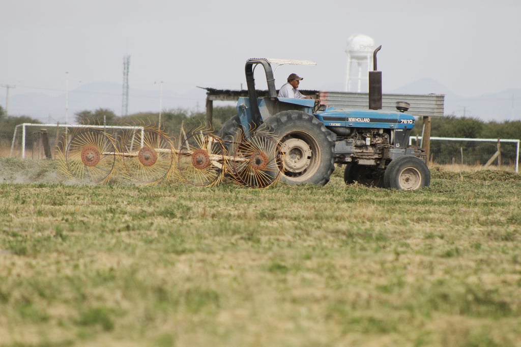 Productores están preocupados por falta de apoyo federal