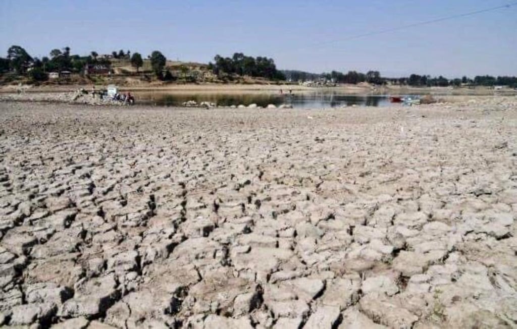 Condiciones. A pesar de lo crítico que fue el año pasado en el tema de la sequía, no ha sido el peor año en la entidad duranguense; es el segundo. El de mayor déficit de agua fue el 2011.