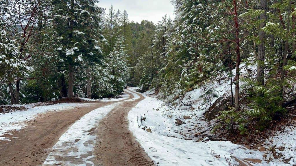 Amaneció nevando en 4 municipios de Durango