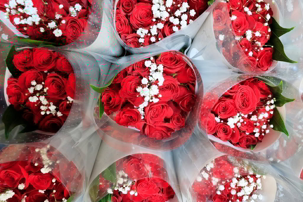 Docena de flores subió al doble en 2024