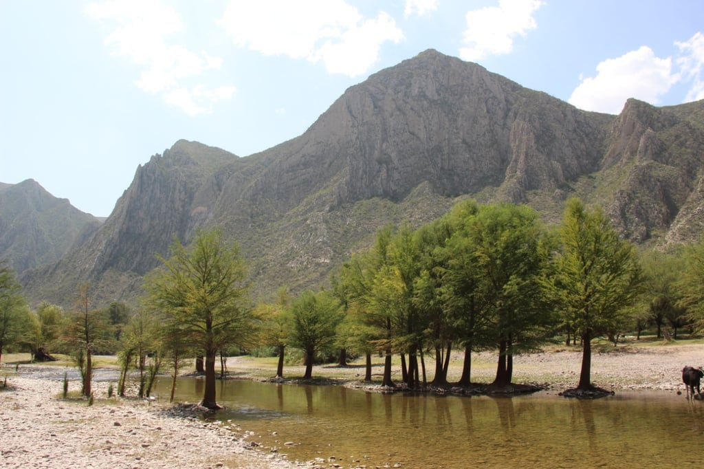 Vista del Cañón de Fernández. (ARCHIVO)