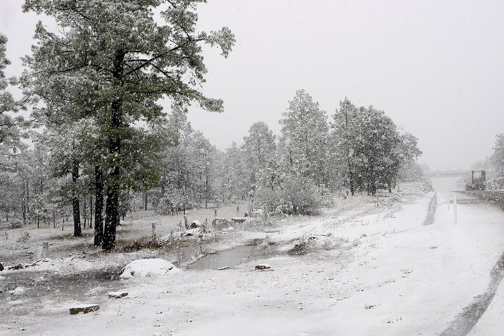 Nevó en cuatro comunidades de la sierra de Durango
