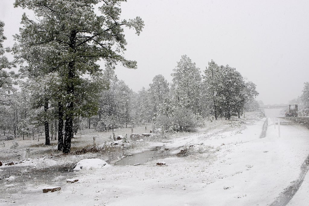 Clima. El frente frío número 35 dejó un blanco paisaje en varias localidades de la Sierra. 