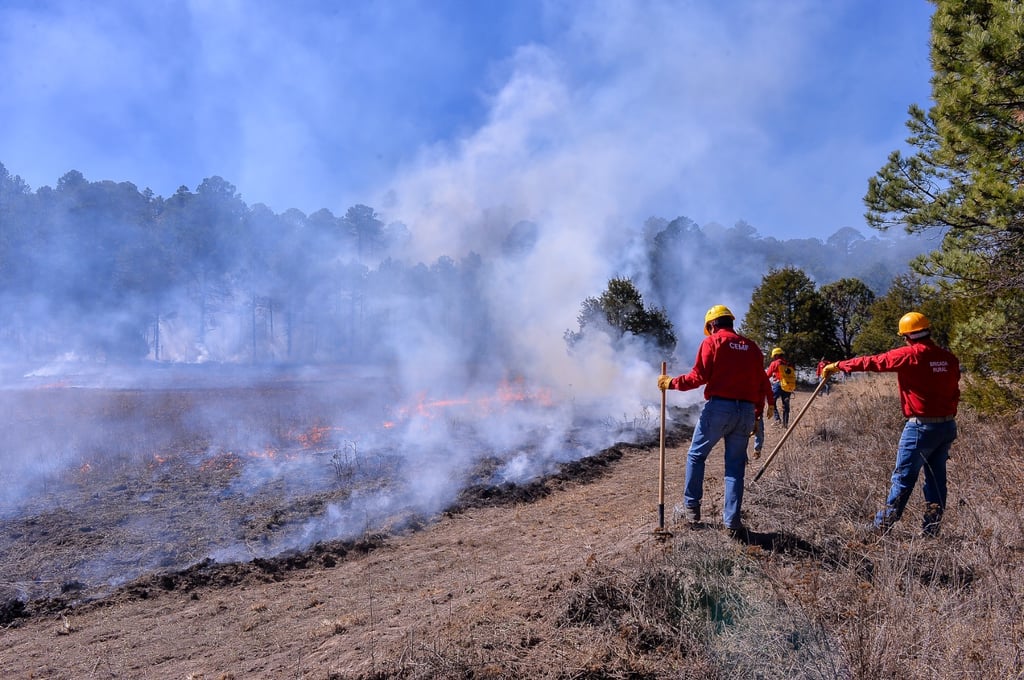 Sequía adelanta temporada de incendios forestales en Durango; van 14 durante 2024