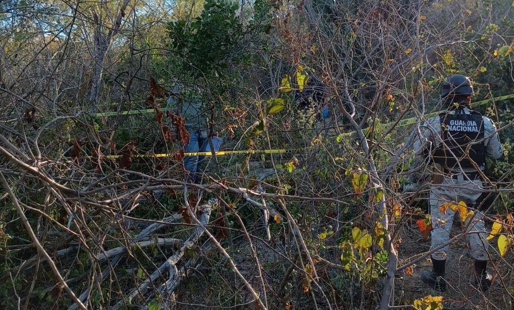 Localizan fosa clandestina con 113 restos óseos en Baja California Sur