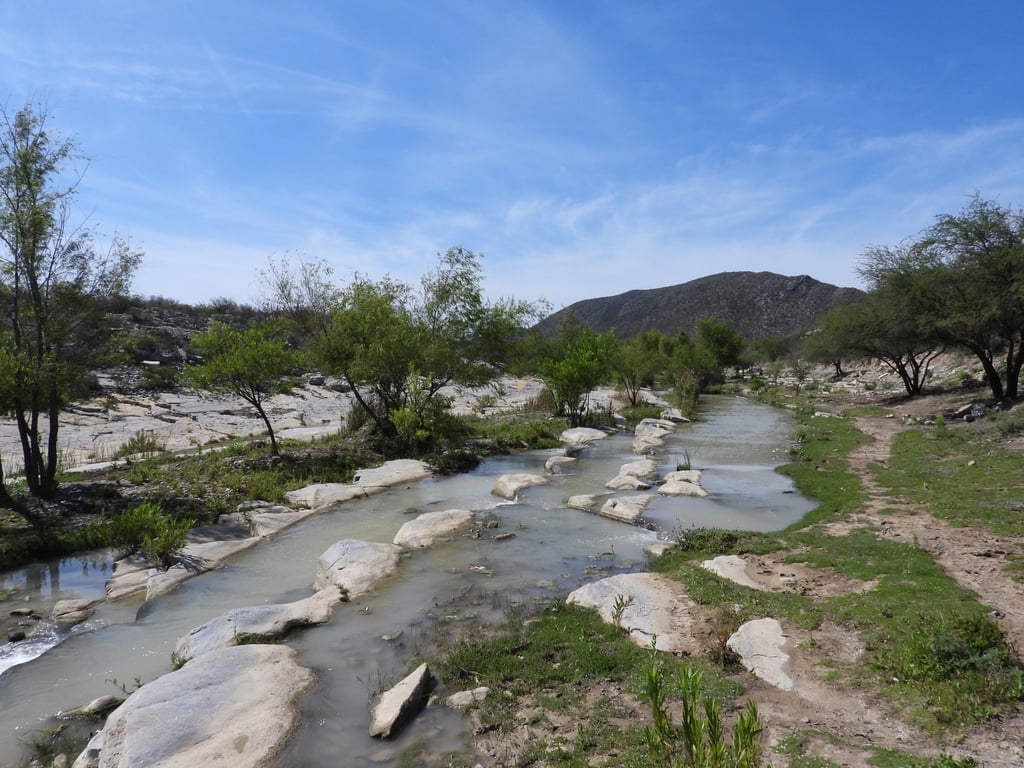 Manantiales en Candela. (CORTESÍA)