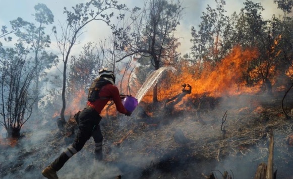 Incendio forestal en San Lucas Quiaviní, Oaxaca, es controlado