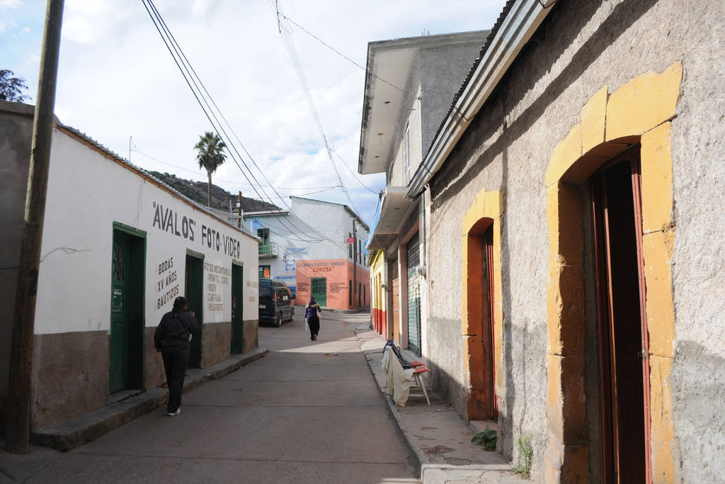 Envenenan a más de 50 perros callejeros en Tepehuanes y Guanaceví