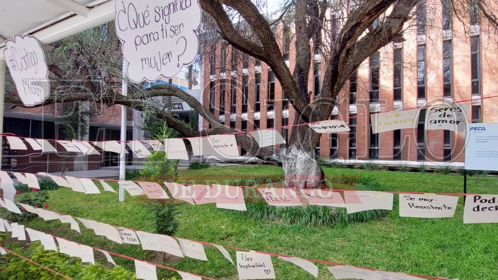 Durango, con un #8M sin 'tendederos' en escuelas de nivel superior