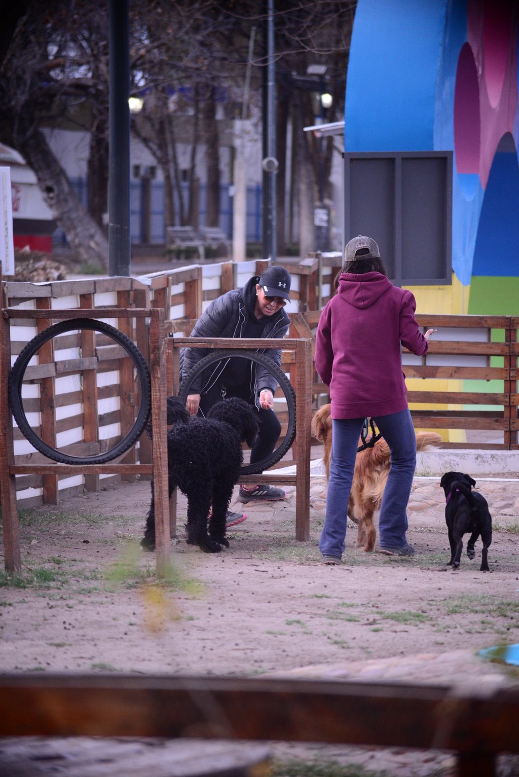 Entrenadores. Si bien uno puede educar a su mascota, a veces es importante contar con el soporte de un profesional.