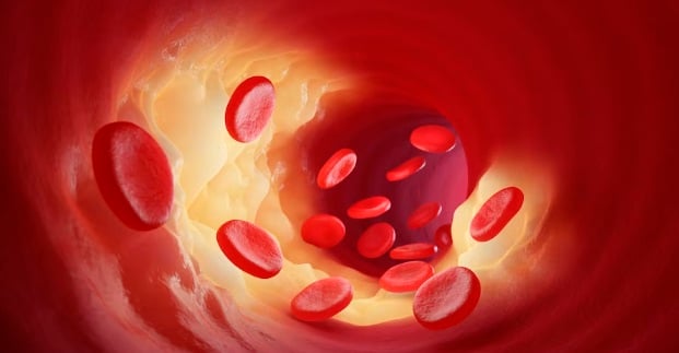 Alimentos que ayudan a limpiar las arterias y evitar el colesterol