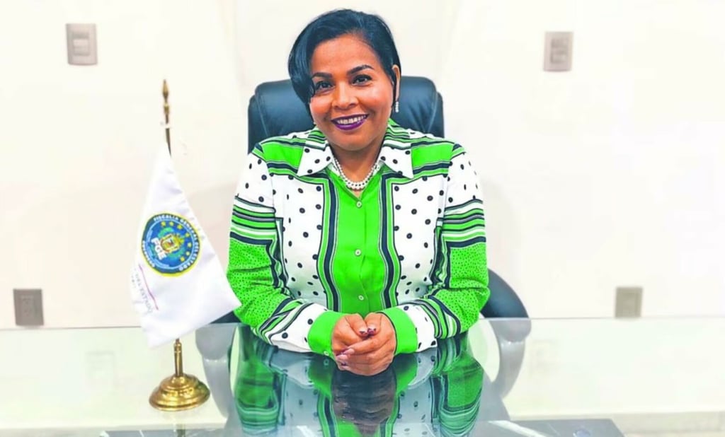 Fiscal de Guerrero habla sobre remoción de su cargo