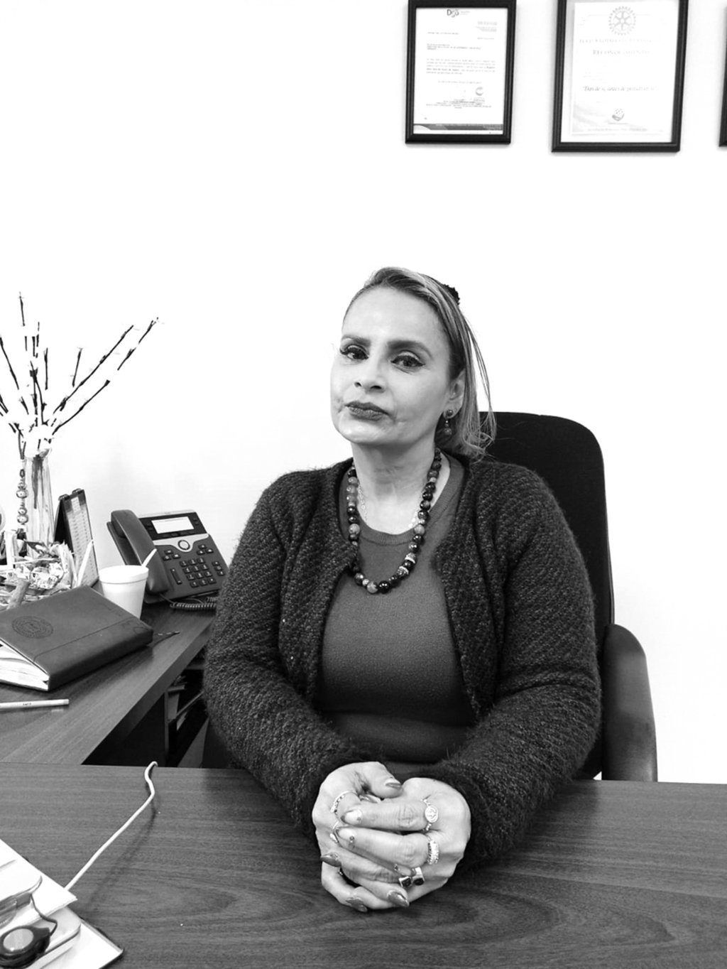 Compromiso. Este proyecto se hace con la intención de apoyar a las madres y el entendimiento de la lactancia.