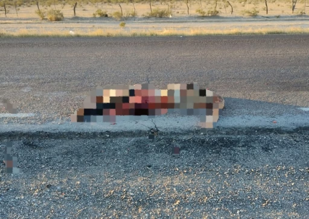 Hecho. Localizan cuerpo en carretera Gómez Palacio-Durango; se presume fue arrollado por varios vehículos.
