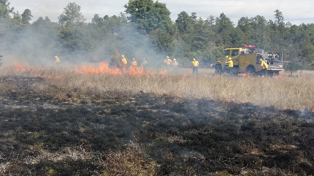 Se registran dos incendios forestales activos en el Estado