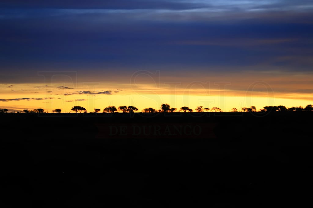Listón rojo para evitar que el eclipse seque las plantas, mito en Nazas