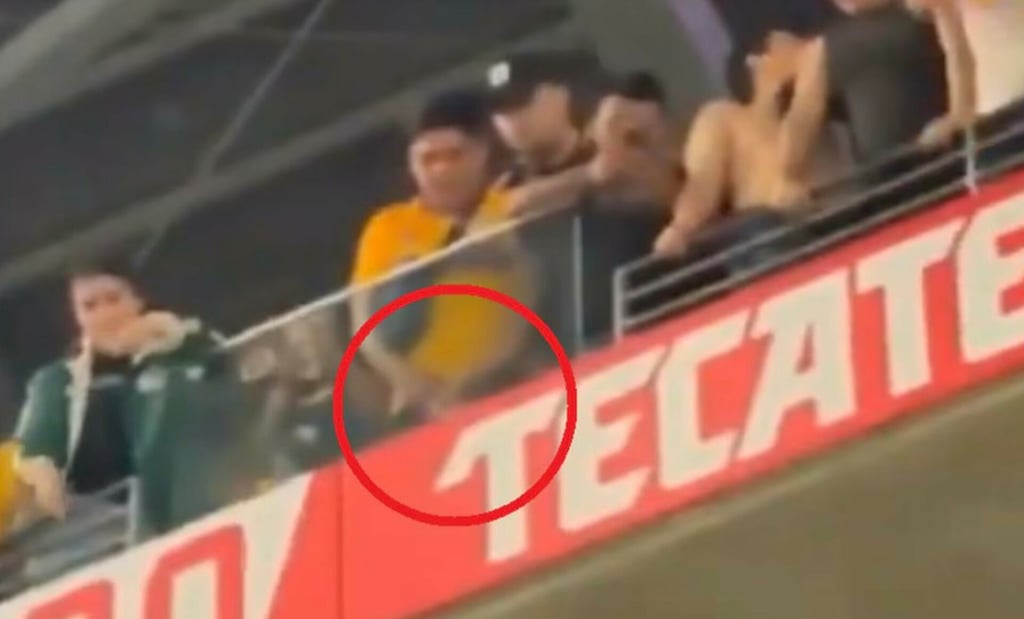 VIDEO: Aficionado de Tigres hace del baño en la tribuna y avienta los orines a gente de Rayados