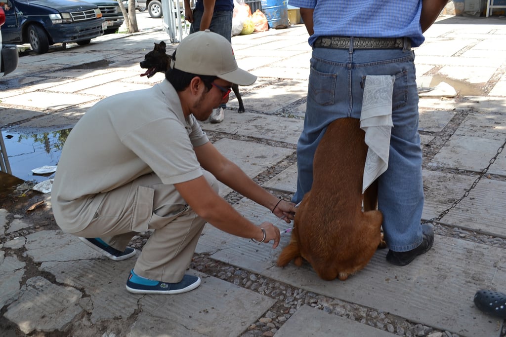 Situación. De las 300 mil dosis ha llegado solo menos de la mitad, al menos para arrancar esta campaña de vacunación.
