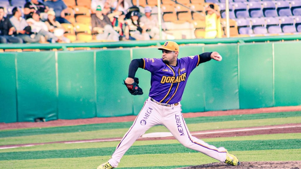 Liga Mexicana de Béisbol.