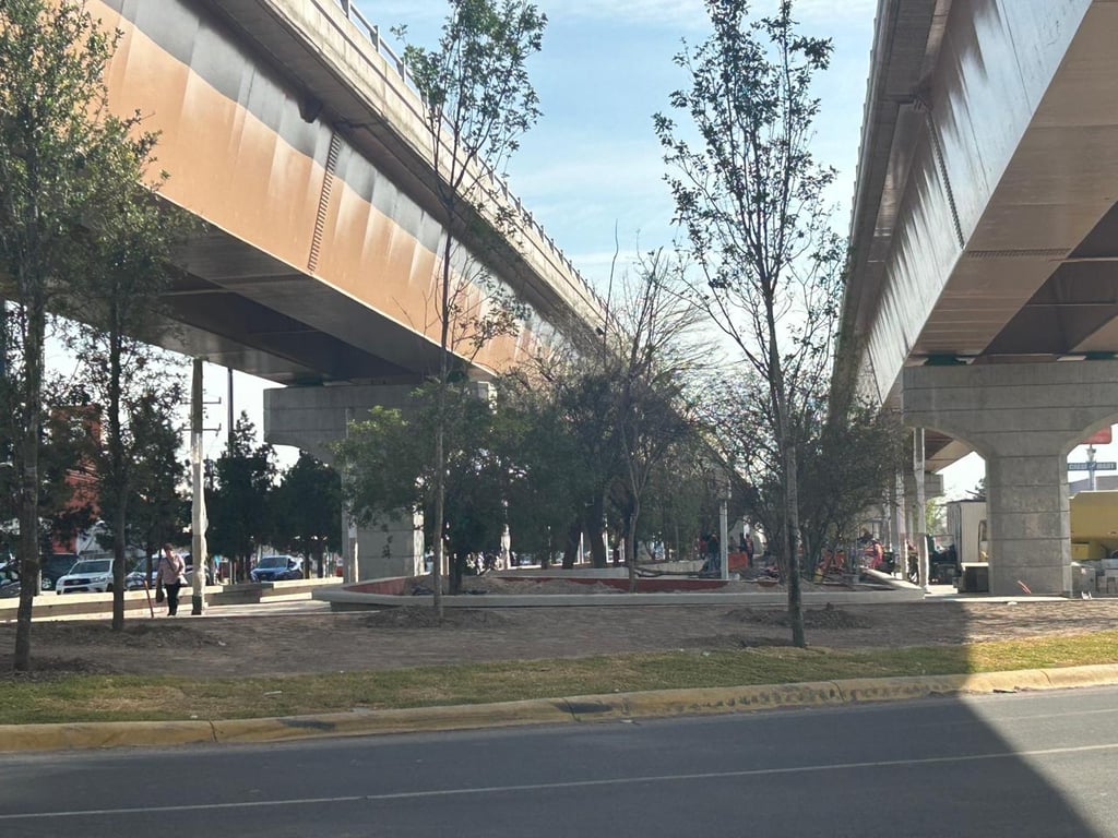 Obra en área verde del puente Francisco Villa va al 65%