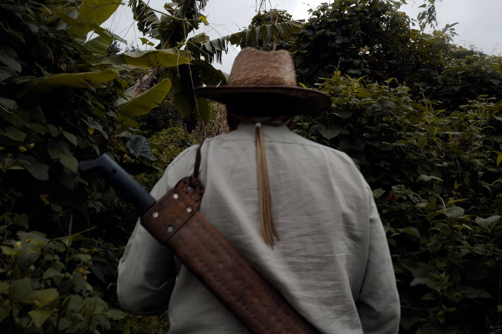 Documental mexicano llegará al FICG