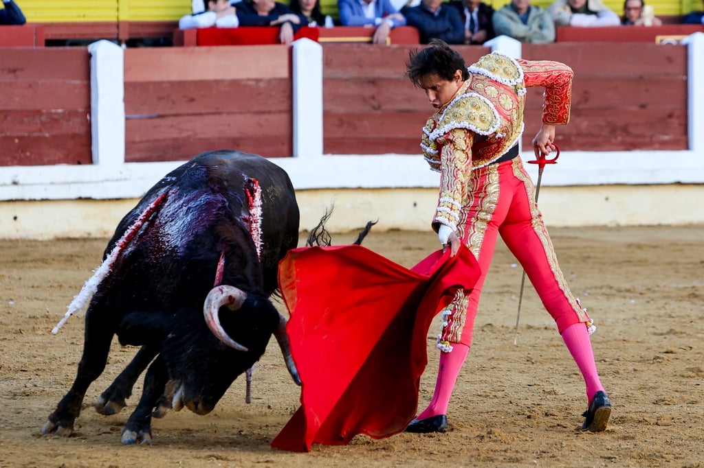 Primerísima figura del toreo mundial, es el peruano Andrés Roca Rey, que hoy actuará en La Laguna (EFE)